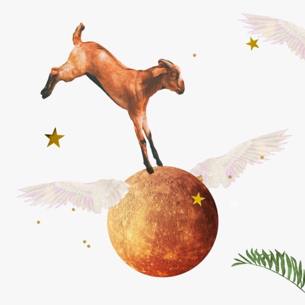 Mercury in Capricorn Horoscopes, 2025: Collage of a leaping goat landing on winged planet Mercury, surrounded by stars.