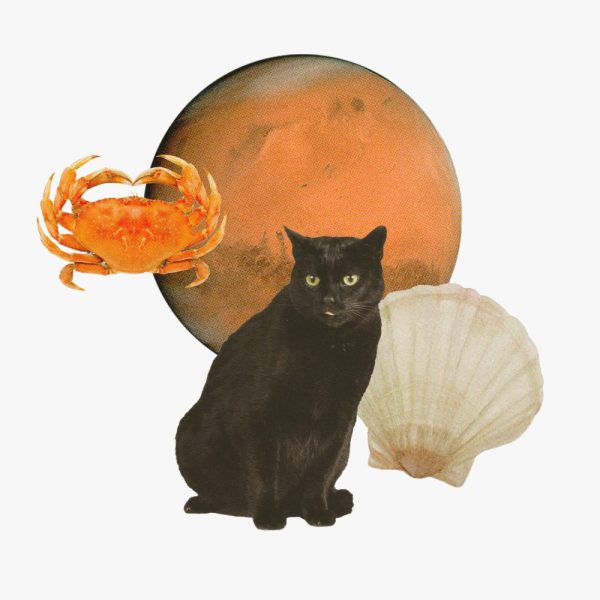 Your Guide to Mars Retrograde in Leo and Cancer: A collage of a black cat, a seashell, a crab and the planet Mars.