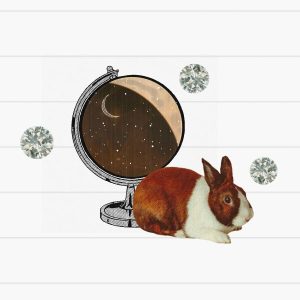 Standing globe but instead of the earth, it's the night sky with a crescent moon. A brown and white bunny sits in front of it.