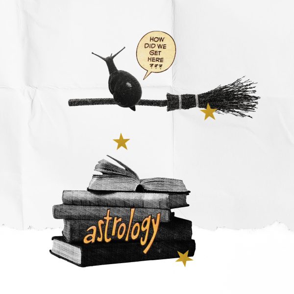 Astrological Key Terms Blog – Collage of a stack of books reading "astrology," a snail riding a broomstick, and gold stars.