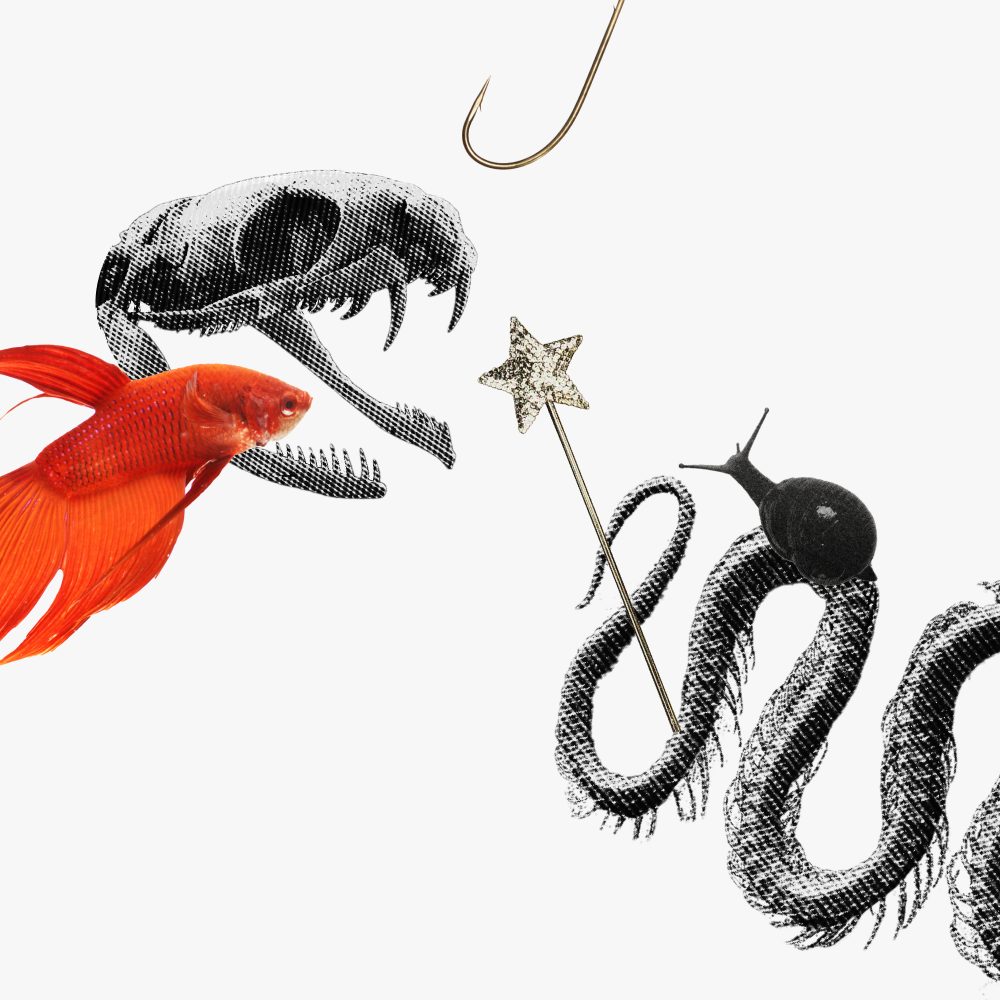 Your guide to the lunar nodes in Pisces and Virgo — Animal skull, fish, and hook above a snail, dragon tail, and magic wand.