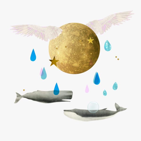 Mercury in Pisces horoscopes, 2025 – Collage of two whales under rain, gold stars, a bubble and a winged planet Mercury.